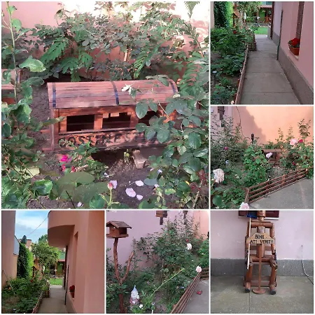 بيت ضيافة Ionela