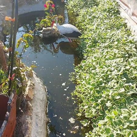 Ionela بيت ضيافة 3*