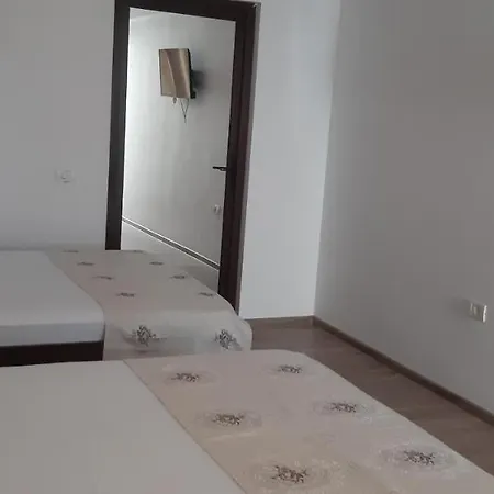 Guest house Ionela 3*