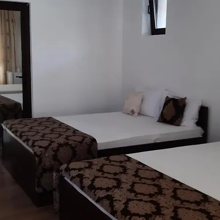 Ionela Guest house 3*