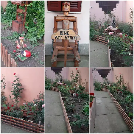 Ionela Guest house