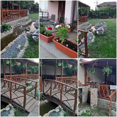 Ionela Guest house