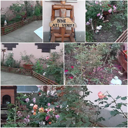 Guest house Ionela