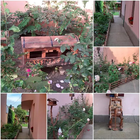 Guest house Ionela