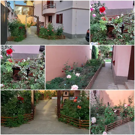 Ionela Guest house