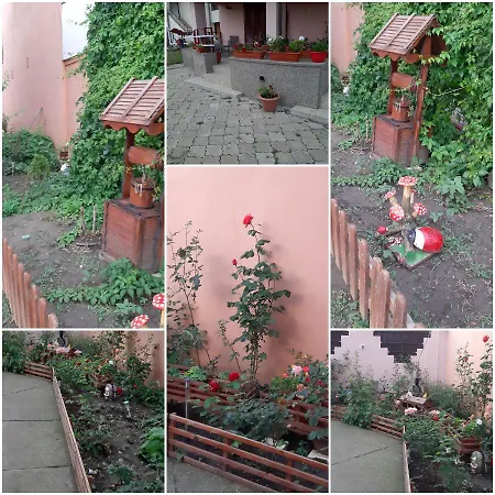 Ionela Guest house Costinesti