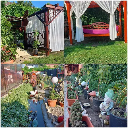 Ionela Guest house