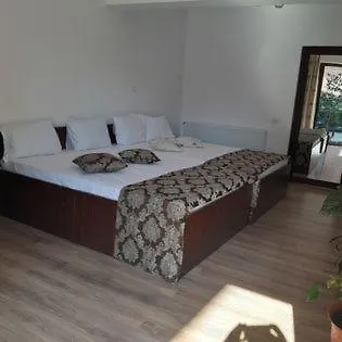 Ionela 3* Costinești