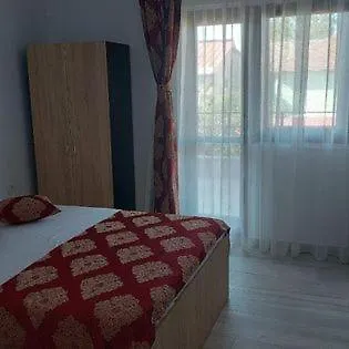 Ionela Guest house