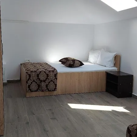 Ionela Guest house 3*