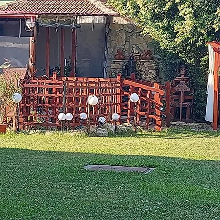 Guest house Ionela 3*