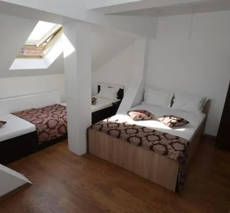 Ionela Guest house