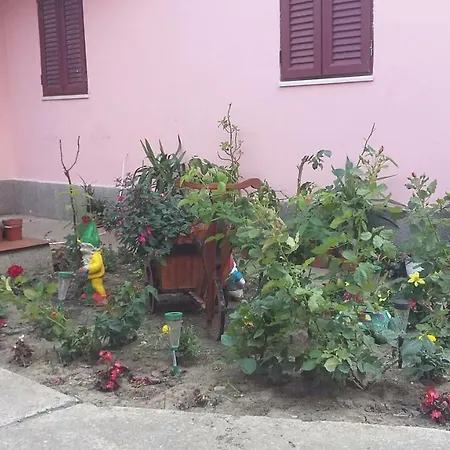 Guest house Ionela